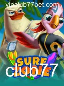 SurfZone: Explorando o Mundo das Ondas Virtuais